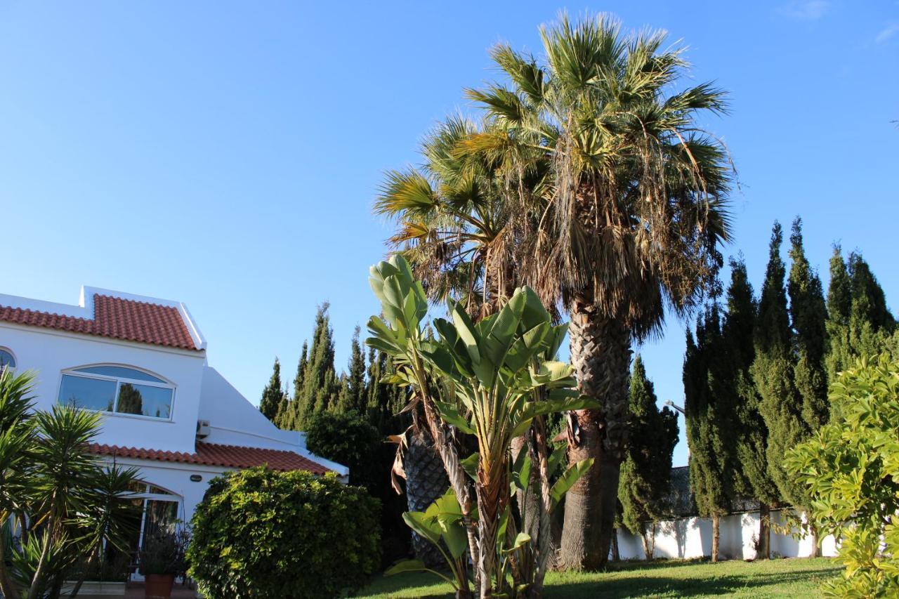 Casa Carioca Carvoeiro Bed & Breakfast Carvoeiro  Dış mekan fotoğraf